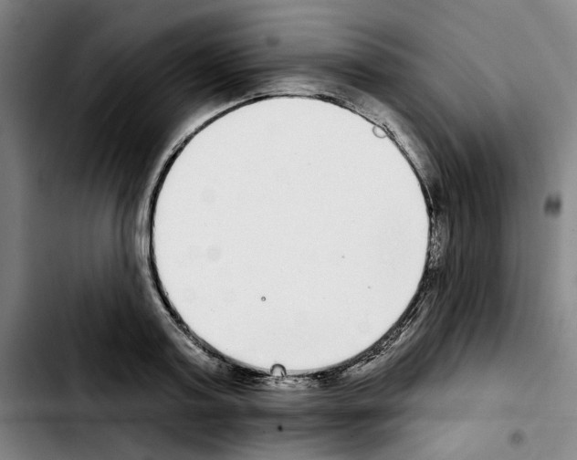 X0000103440795200810241120
