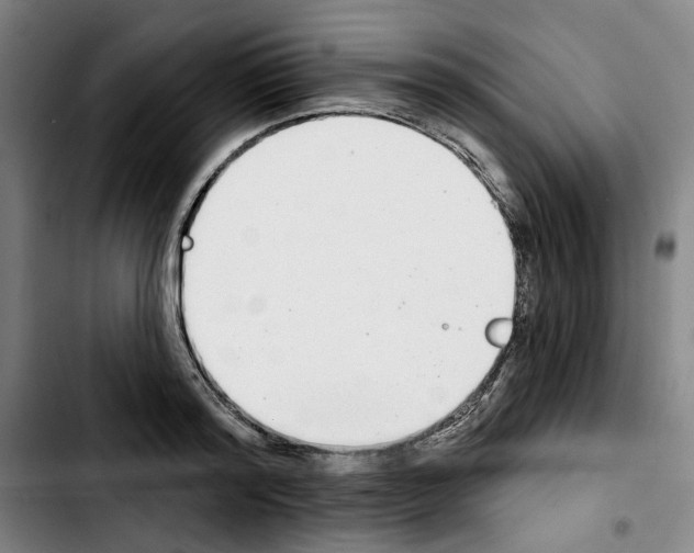 X0000103440796200810241120