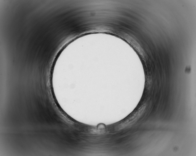 X0000103440797200810241120