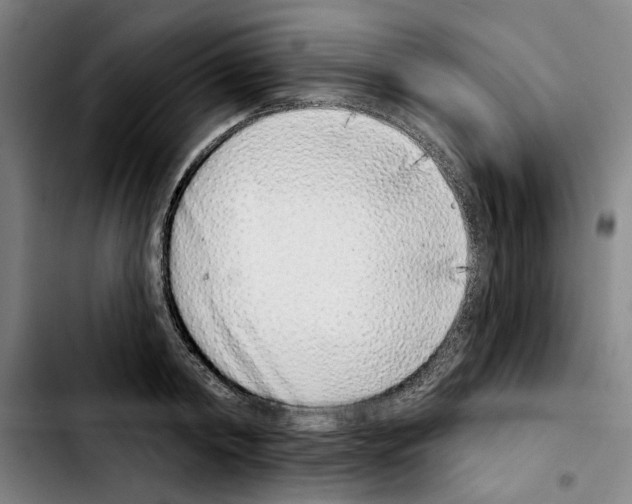 X0000103440798200810241120