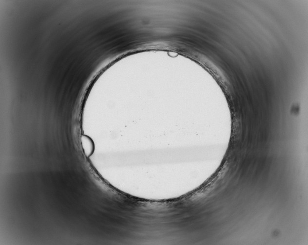X0000103440800200810241120