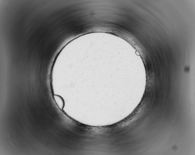 X0000103440803200810241120