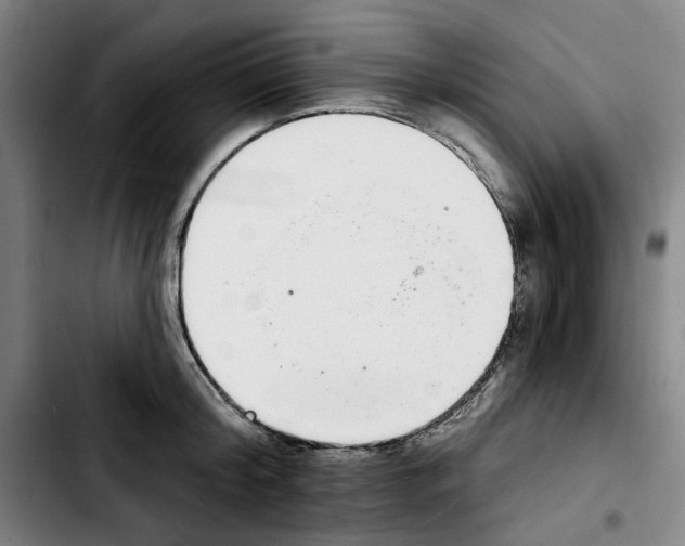 X0000103440804200810241120