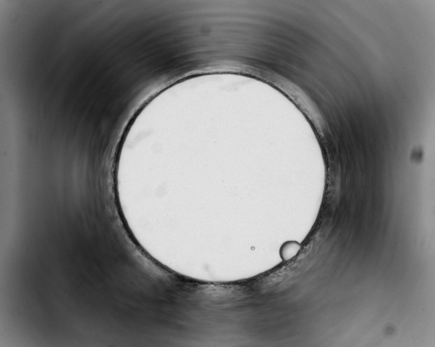 X0000103440805200810241120