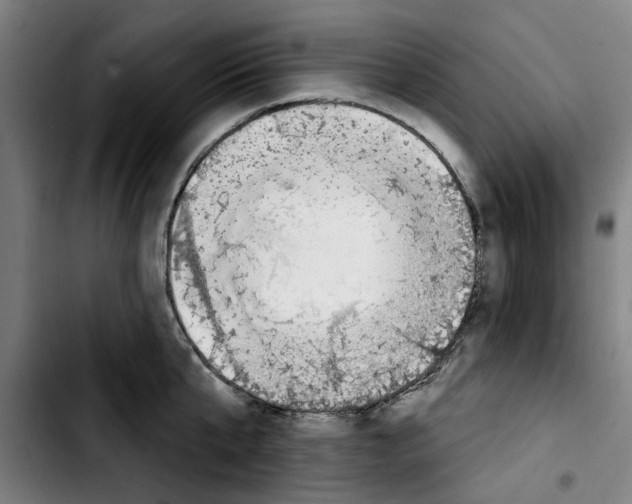 X0000103440807200810241120
