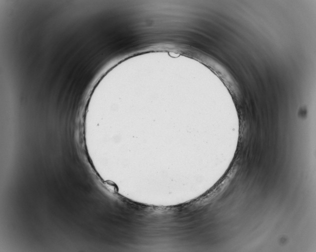 X0000103440808200810241120
