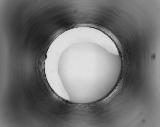 X0000103440809200810241120