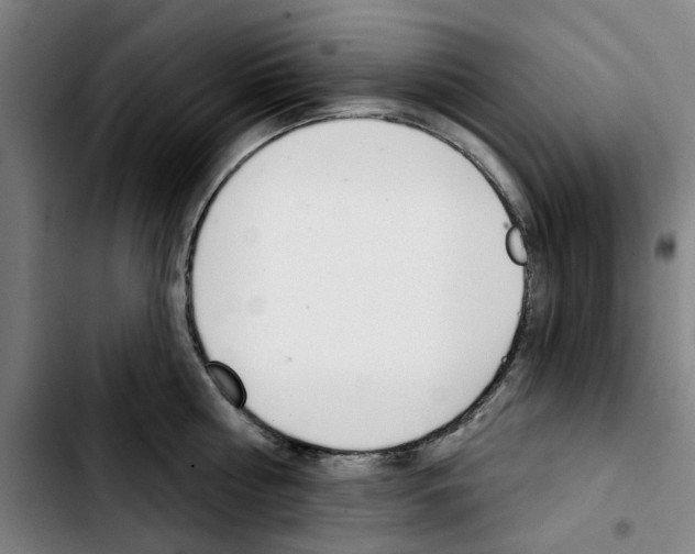 X0000103440810200810241120
