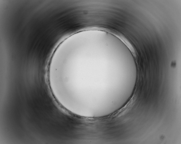 X0000103440813200810241120