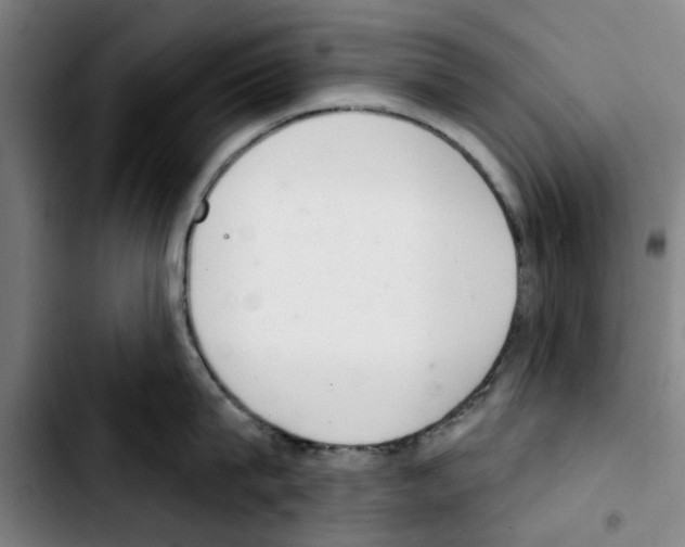 X0000103440815200810241120