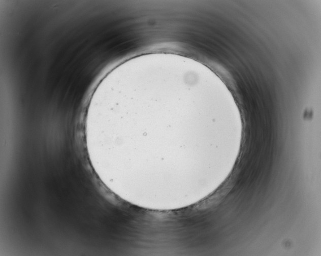 X0000103440816200810241120