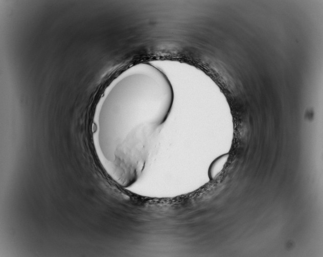 X0000103440817200810241119