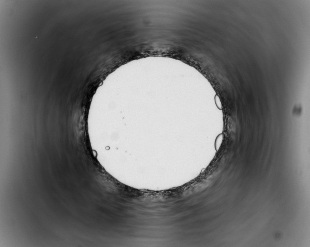 X0000103440818200810241119