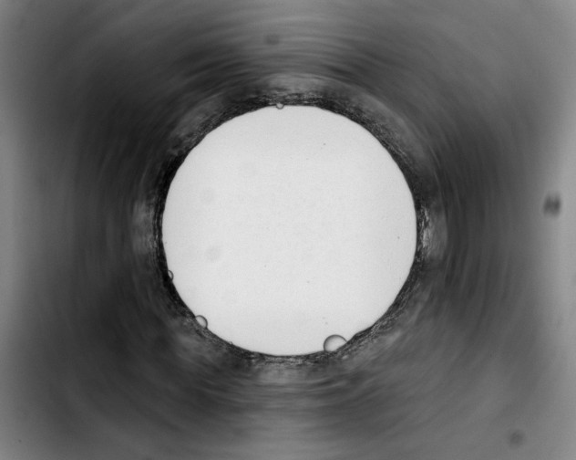 X0000103440819200810241119