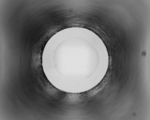 X0000103440820200810241119