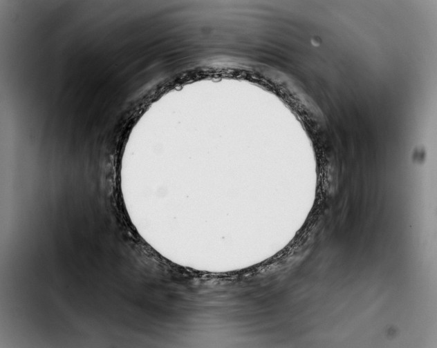 X0000103440821200810241119