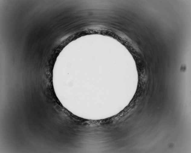 X0000103440822200810241119