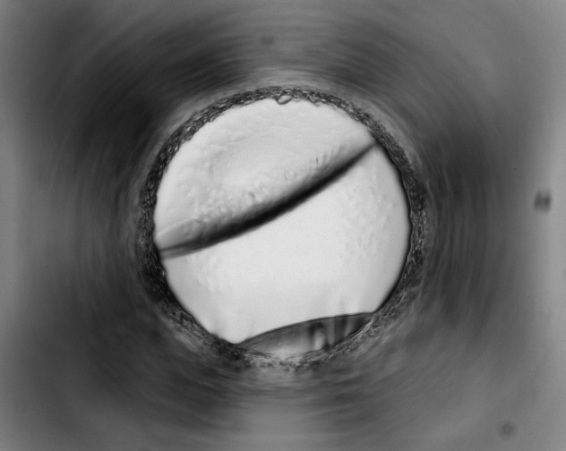 X0000103440823200810241119