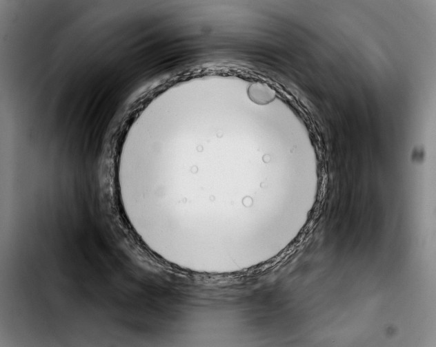 X0000103440824200810241119