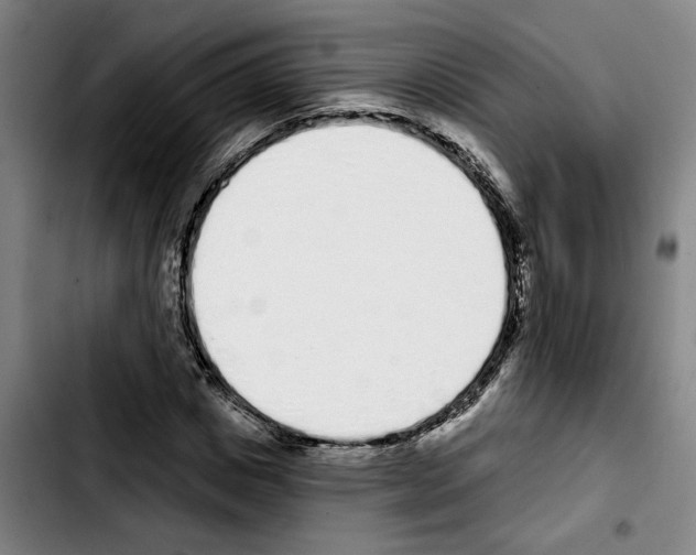 X0000103440825200810241119