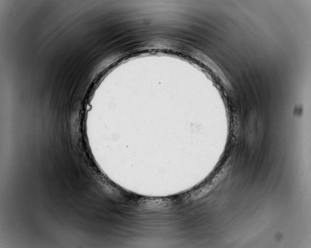 X0000103440826200810241119