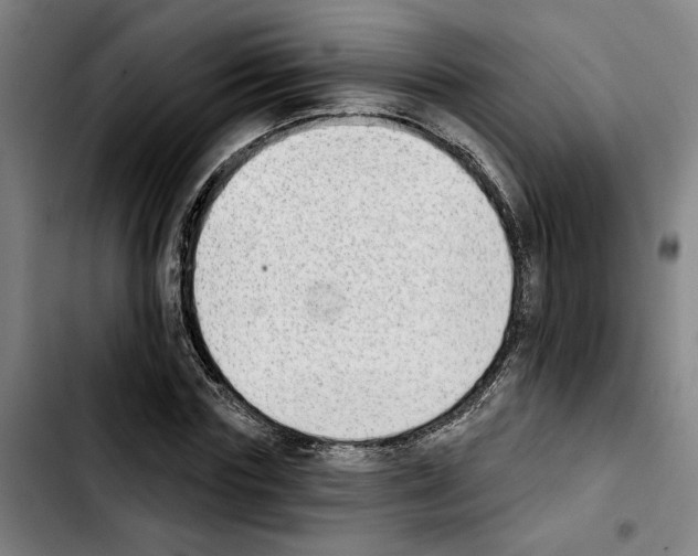 X0000103440827200810241119