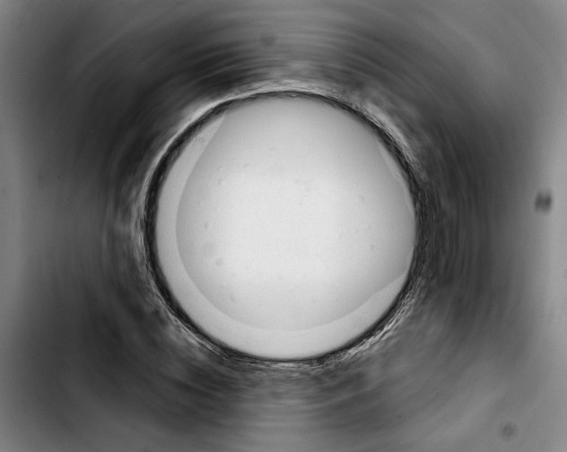 X0000103440828200810241119