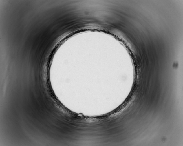X0000103440829200810241119