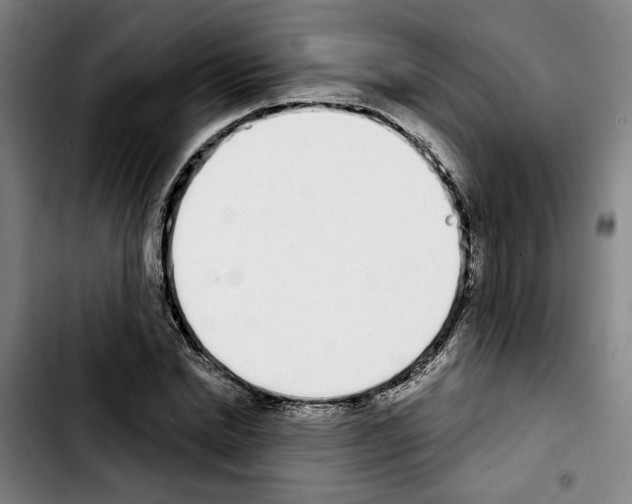 X0000103440830200810241119