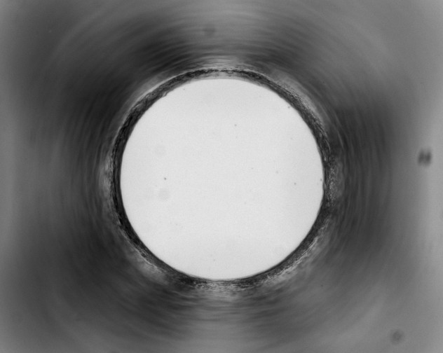 X0000103440831200810241119