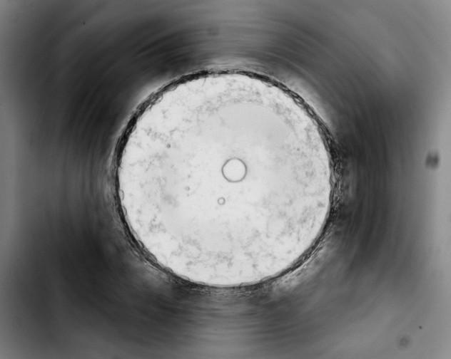 X0000103440832200810241119