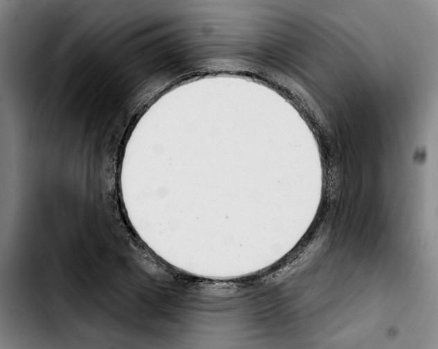 X0000103440833200810241119