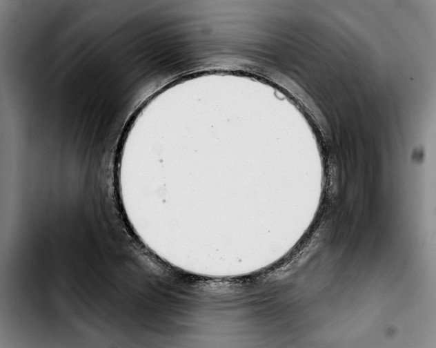 X0000103440834200810241119