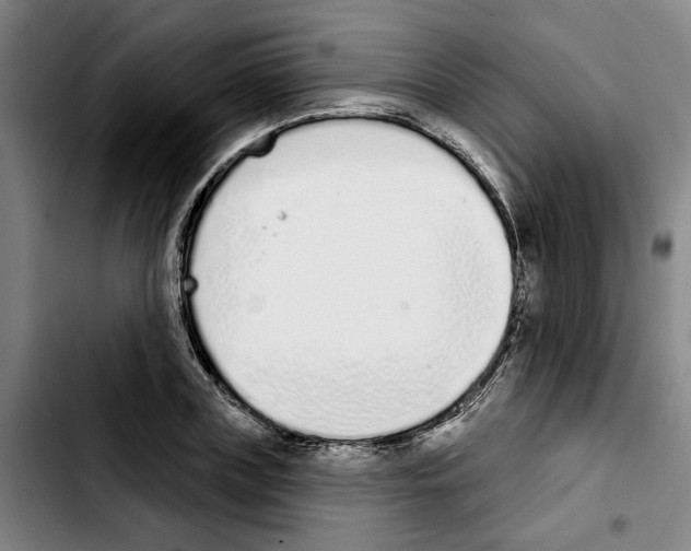 X0000103440835200810241119