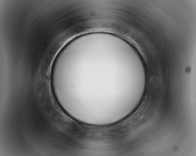 X0000103440836200810241119