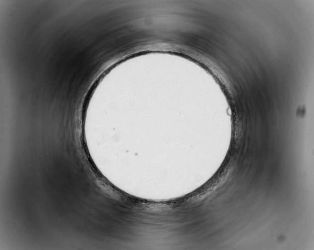 X0000103440837200810241119