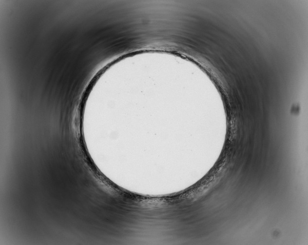 X0000103440838200810241119