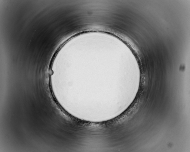 X0000103440839200810241119