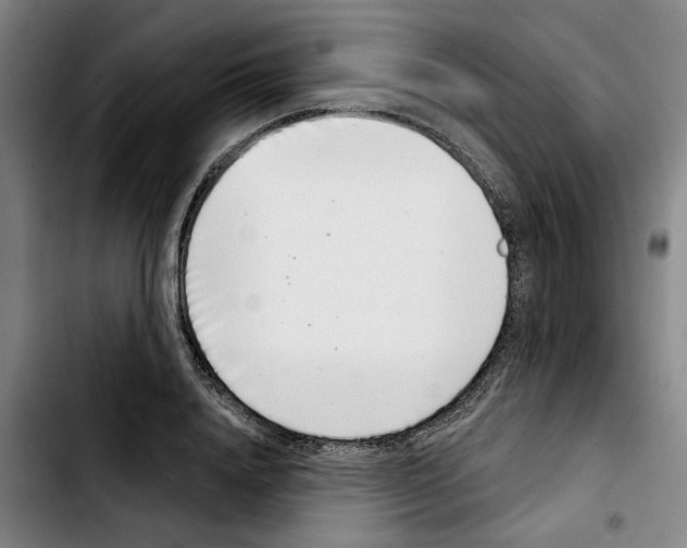 X0000103440840200810241119