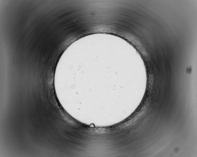 X0000103440841200810241119
