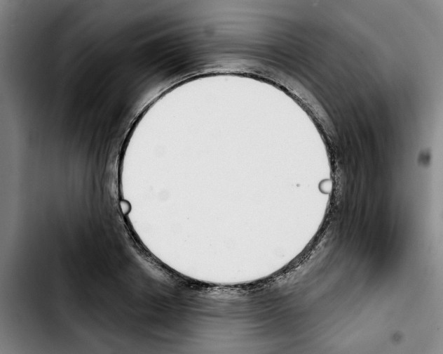 X0000103440842200810241119