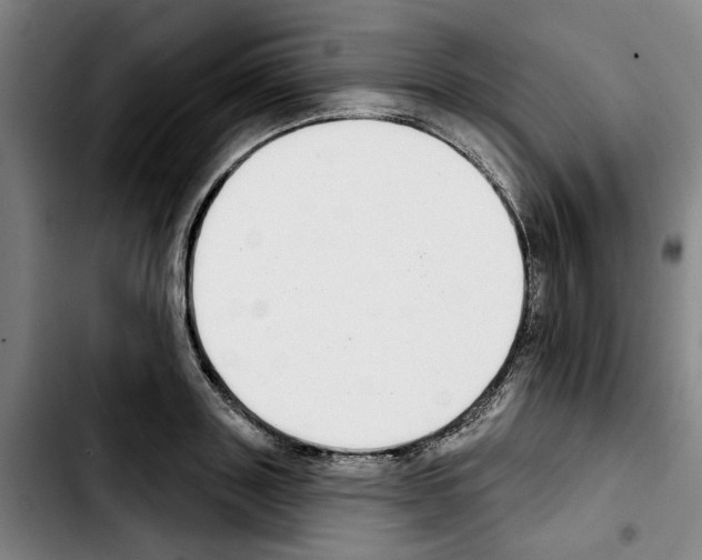 X0000103440843200810241119