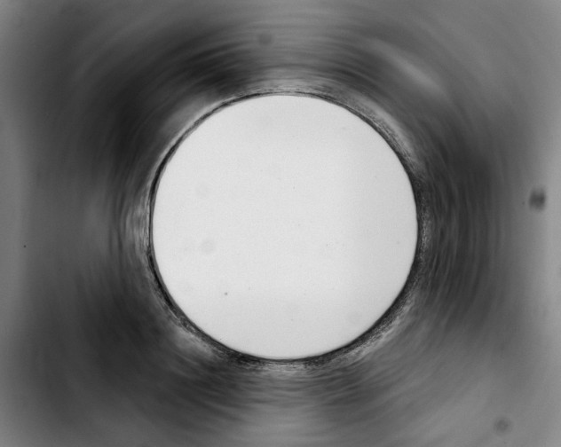 X0000103440844200810241119