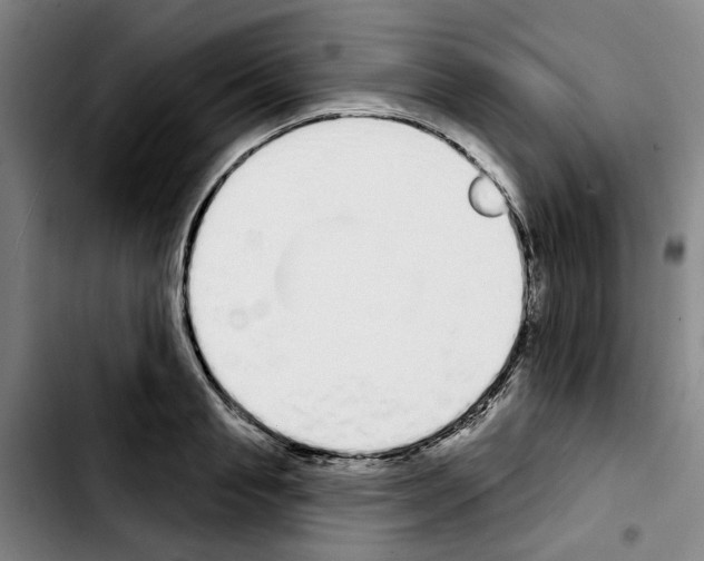 X0000103440845200810241120