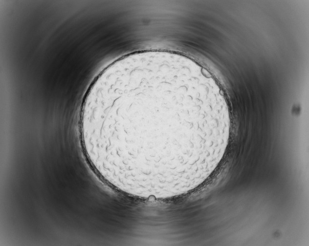 X0000103440847200810241120