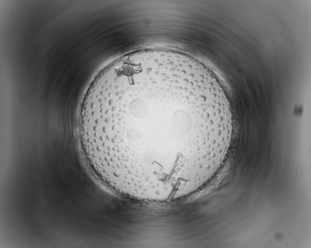 X0000103440848200810241120