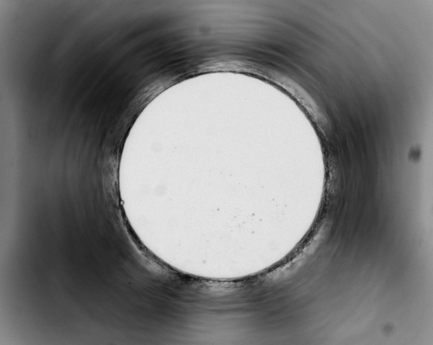 X0000103440849200810241120