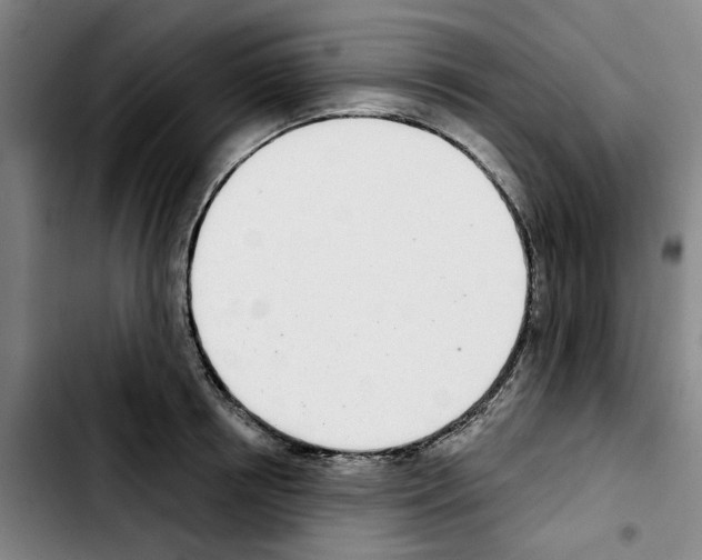 X0000103440850200810241120