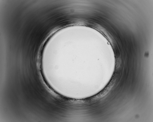 X0000103440851200810241120