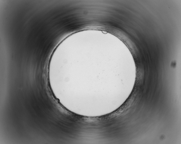 X0000103440852200810241120
